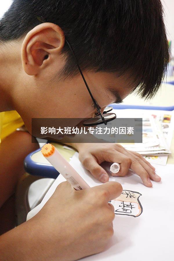 影响大班幼儿专注力的因素
