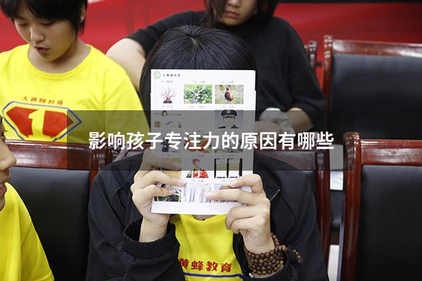 影响孩子专注力的原因有哪些