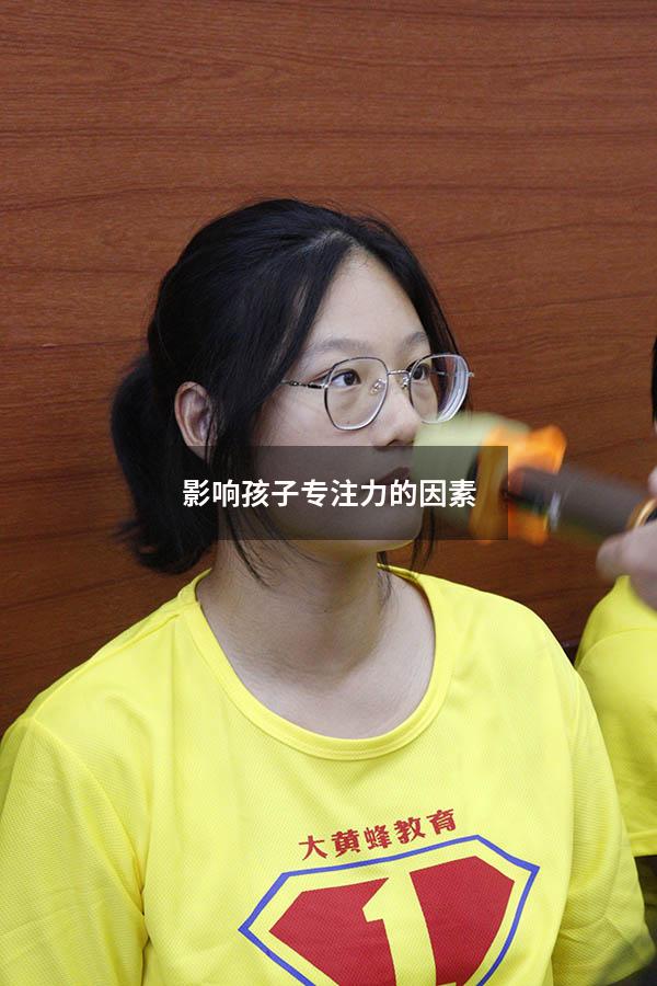 影响孩子专注力的因素