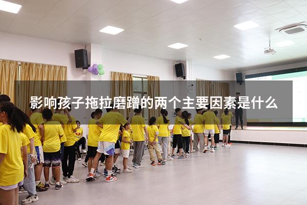 影响孩子拖拉磨蹭的两个主要因素是什么