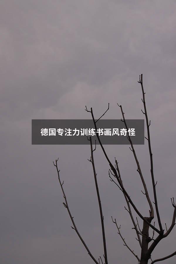 德国专注力训练书画风奇怪