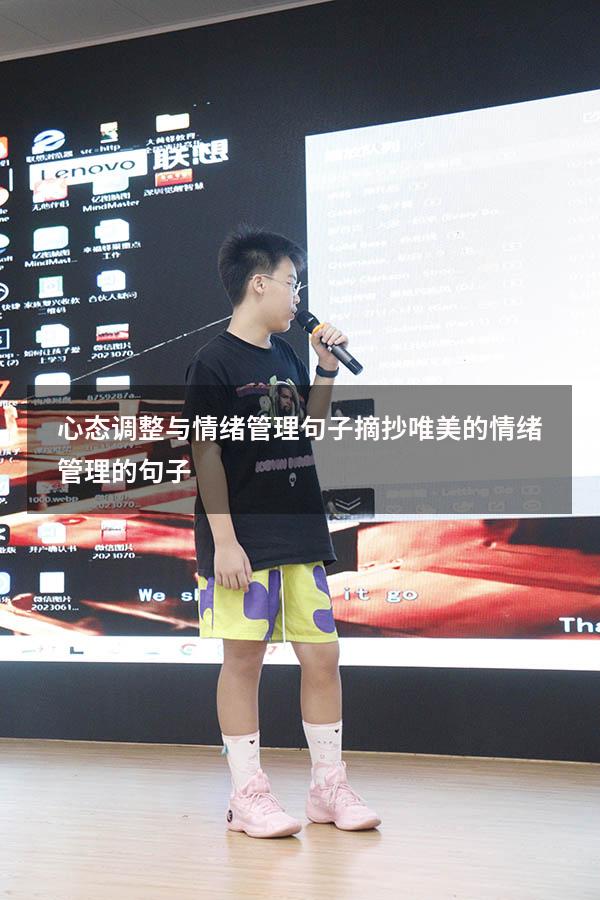 心态调整与情绪管理句子摘抄（唯美的情绪管理的句子）