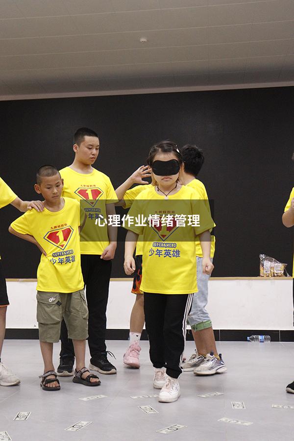 心理作业情绪管理