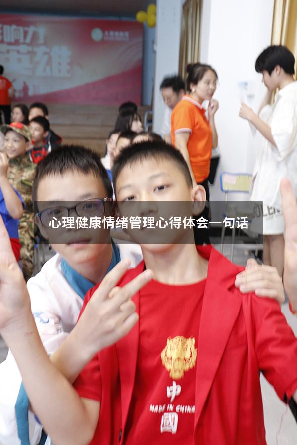 心理健康情绪管理心得体会一句话