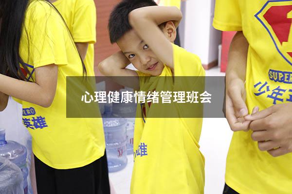 心理健康情绪管理班会4939
