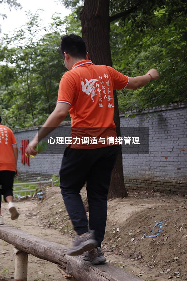 心理压力调适与情绪管理