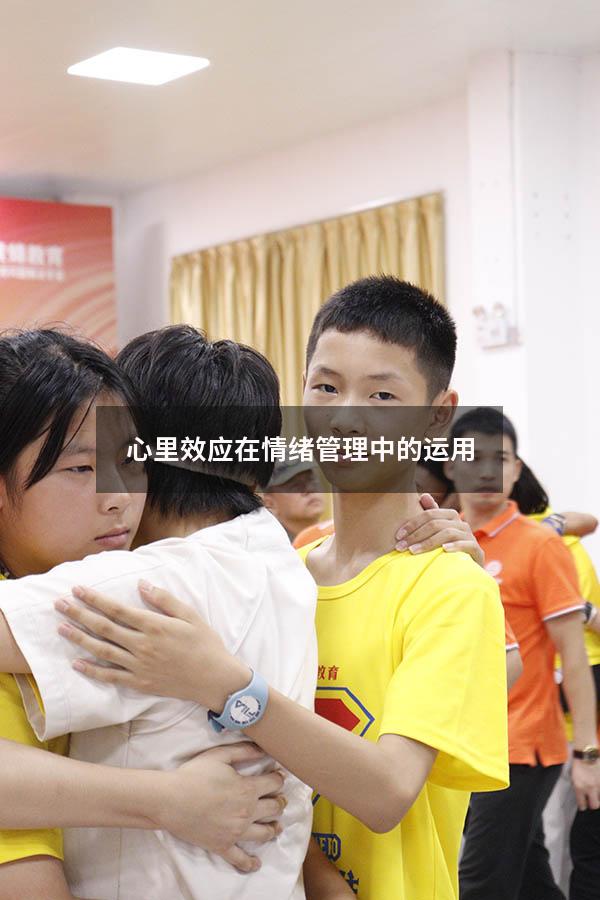 心里效应在情绪管理中的运用6364