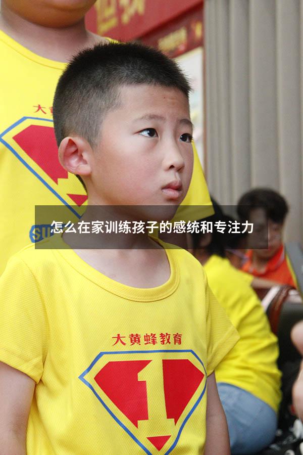怎么在家训练孩子的感统和专注力