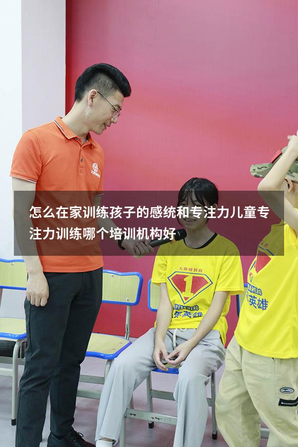 怎么在家训练孩子的感统和专注力（儿童专注力训练哪个培训机构好）