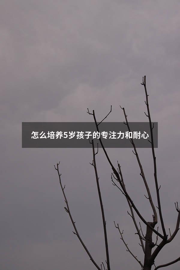 怎么培养5岁孩子的专注力和耐心