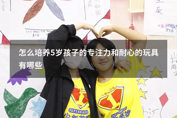 怎么培养5岁孩子的专注力和耐心的玩具有哪些