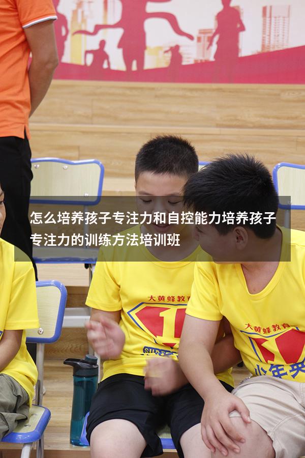 怎么培养孩子专注力和自控能力（培养孩子专注力的训练方法培训班）