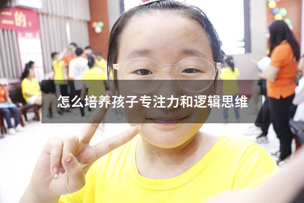 怎么培养孩子专注力和逻辑思维