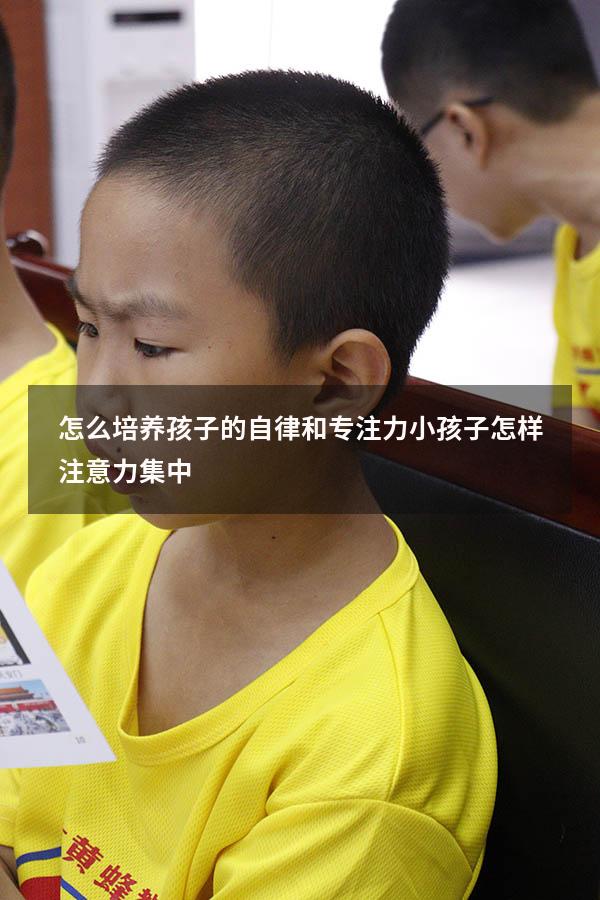 怎么培养孩子的自律和专注力（小孩子怎样注意力集中）