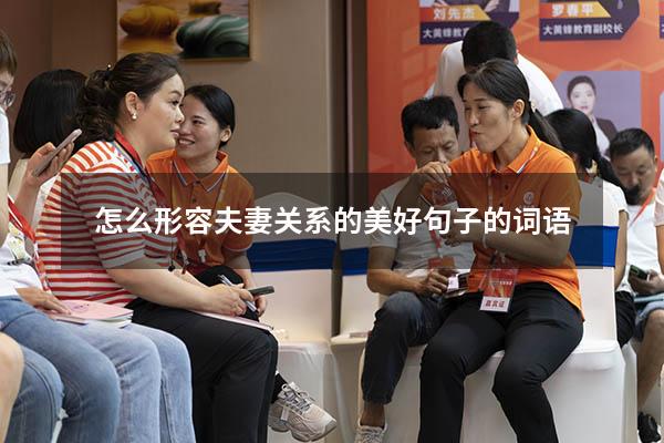 怎么形容夫妻关系的美好句子的词语4264