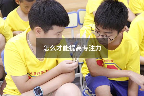 怎么才能提高专注力