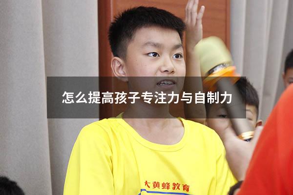 怎么提高孩子专注力与自制力