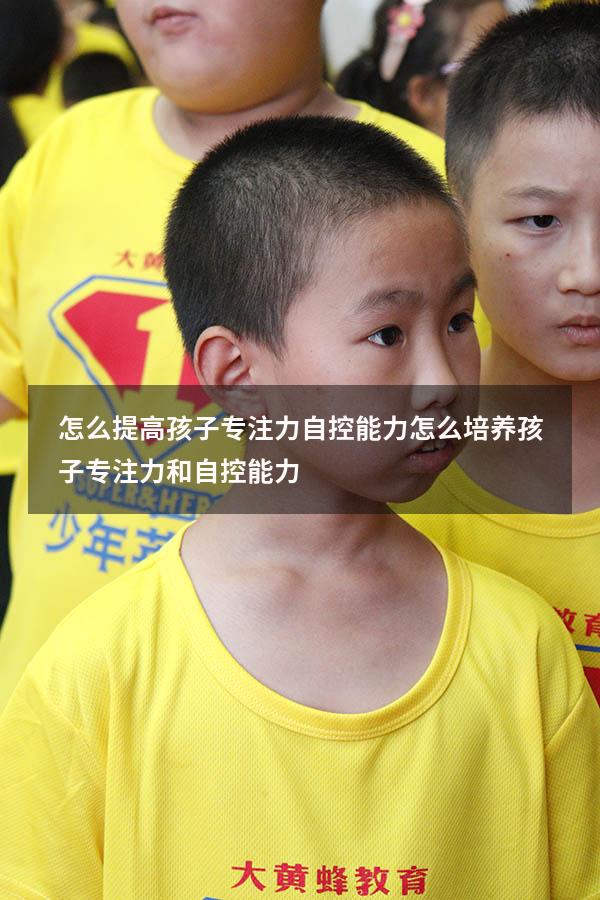 怎么提高孩子专注力自控能力（怎么培养孩子专注力和自控能力）