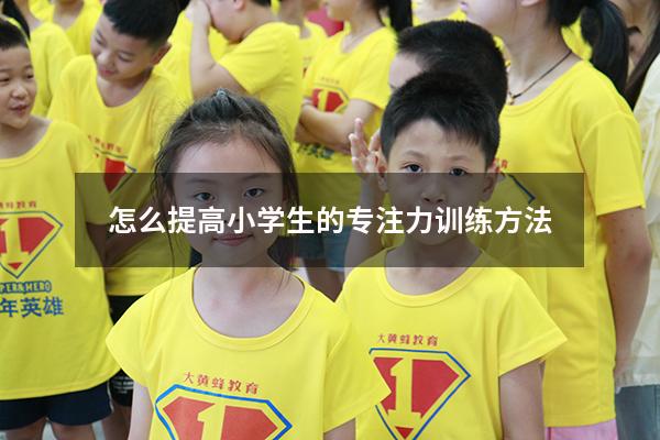 怎么提高小学生的专注力训练方法