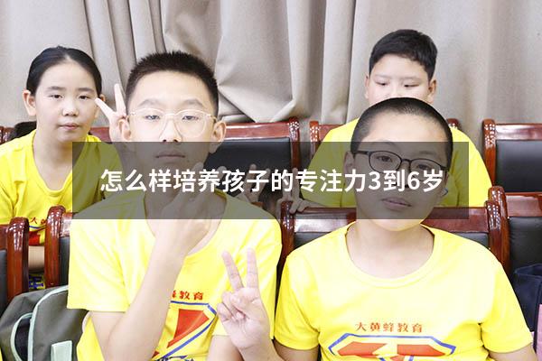 怎么样培养孩子的专注力3到6岁
