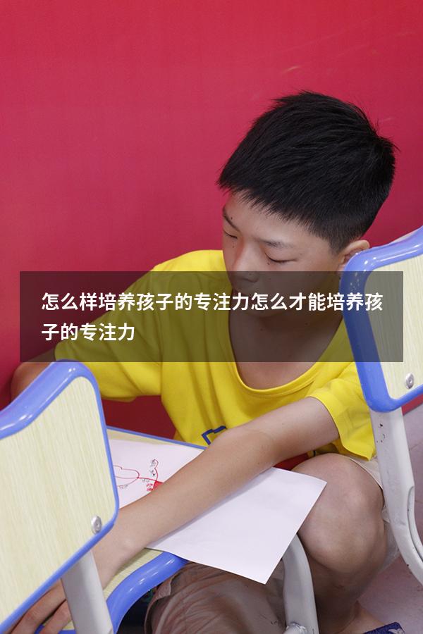 怎么样培养孩子的专注力（怎么才能培养孩子的专注力）