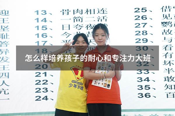 怎么样培养孩子的耐心和专注力大班