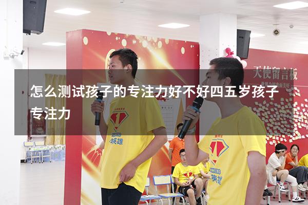 怎么测试孩子的专注力好不好（四五岁孩子专注力）