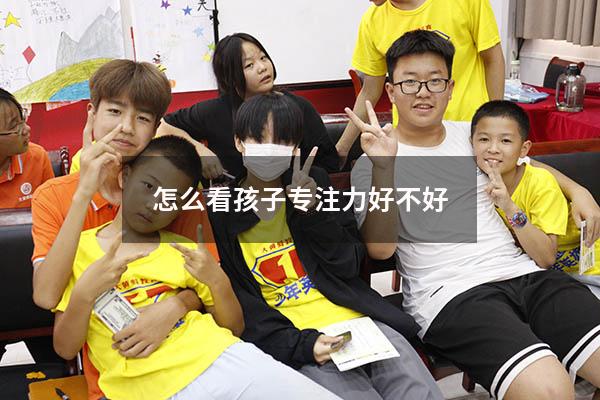怎么看孩子专注力好不好