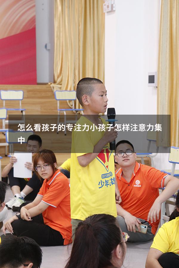 怎么看孩子的专注力（小孩子怎样注意力集中）