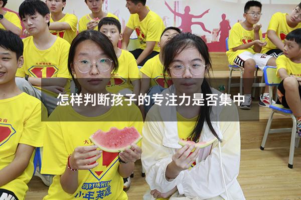 怎样判断孩子的专注力是否集中