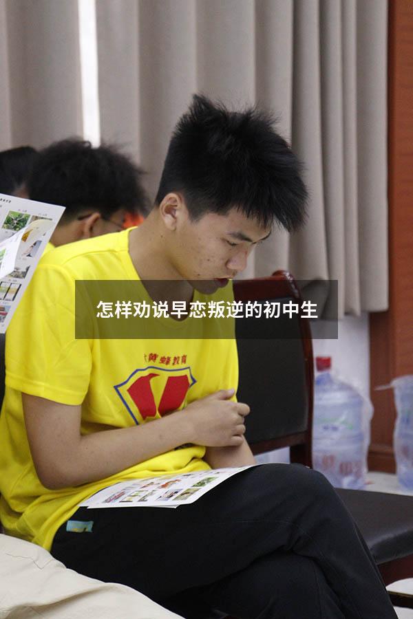 怎样劝说早恋叛逆的初中生