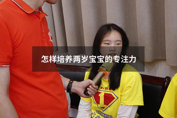 怎样培养两岁宝宝的专注力