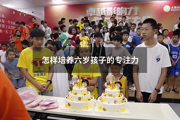 怎样培养六岁孩子的专注力