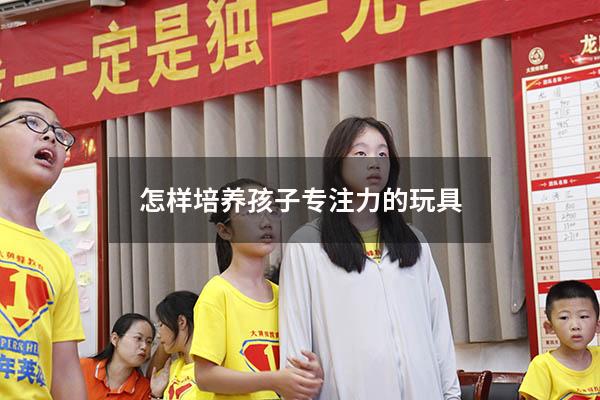 怎样培养孩子专注力的玩具