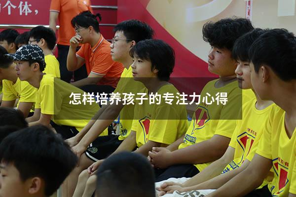 怎样培养孩子的专注力心得