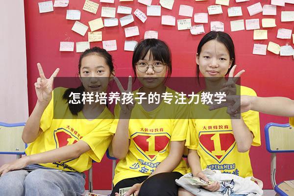 怎样培养孩子的专注力教学
