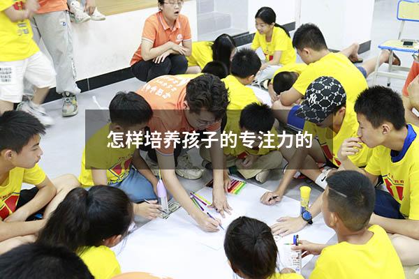 怎样培养孩子的专注力的