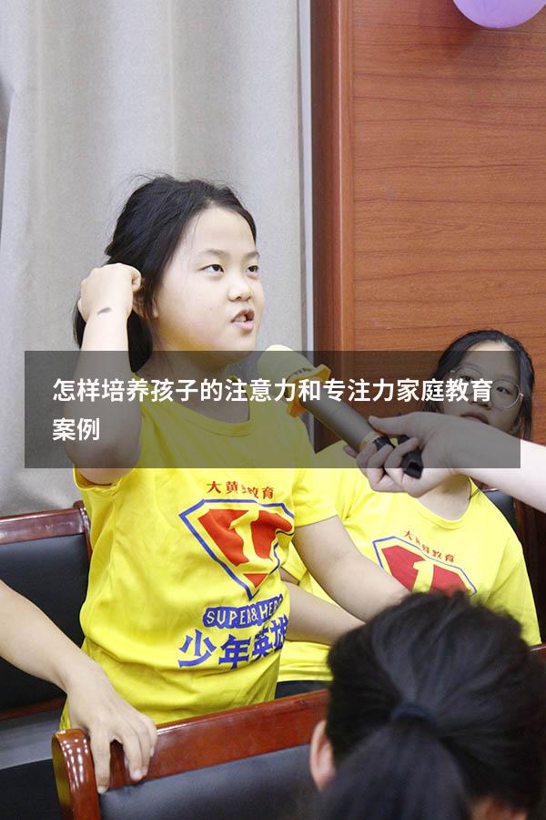 怎样培养孩子的注意力和专注力家庭教育案例