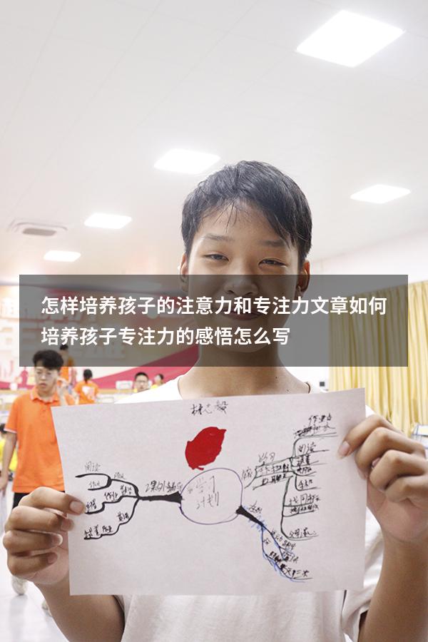 怎样培养孩子的注意力和专注力文章（如何培养孩子专注力的感悟怎么写）