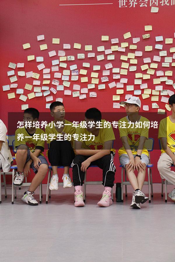 怎样培养小学一年级学生的专注力（如何培养一年级学生的专注力）