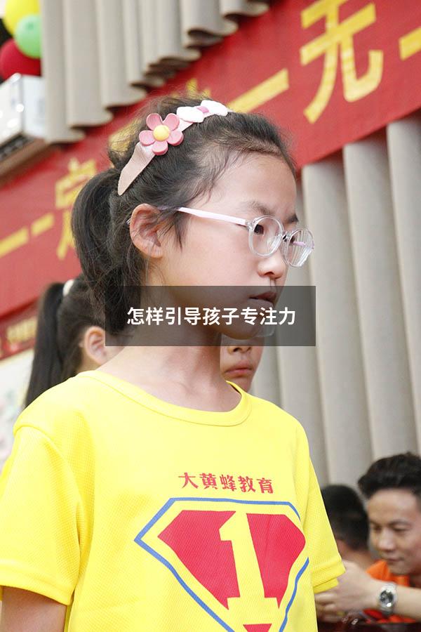 怎样引导孩子专注力