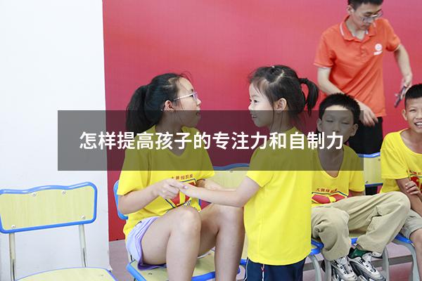 怎样提高孩子的专注力和自制力