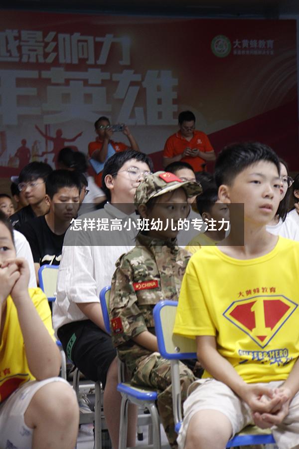 怎样提高小班幼儿的专注力