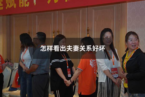 怎样看出夫妻关系好坏