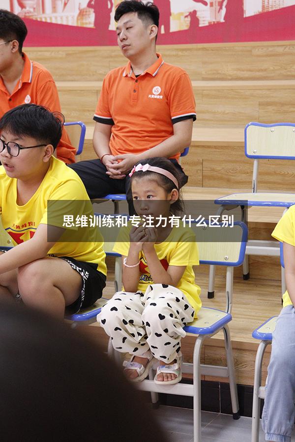 思维训练和专注力有什么区别