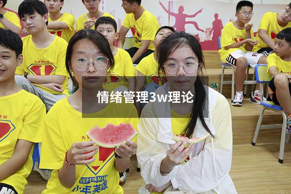 情绪管理3w理论