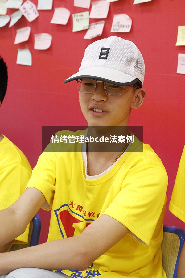 情绪管理abcde法案例