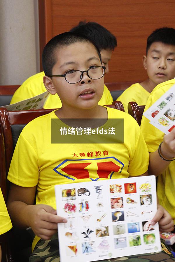 情绪管理efds法