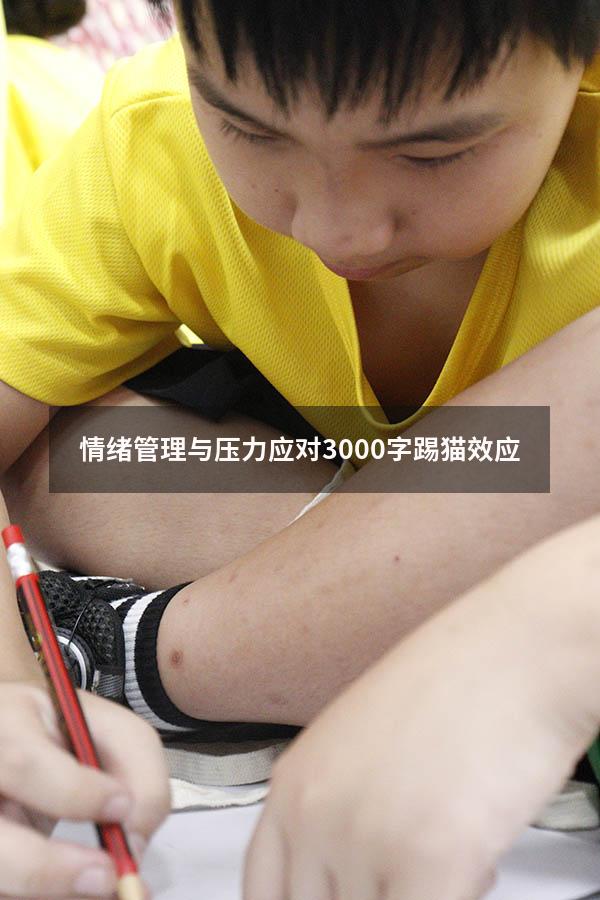 情绪管理与压力应对3000字踢猫效应
