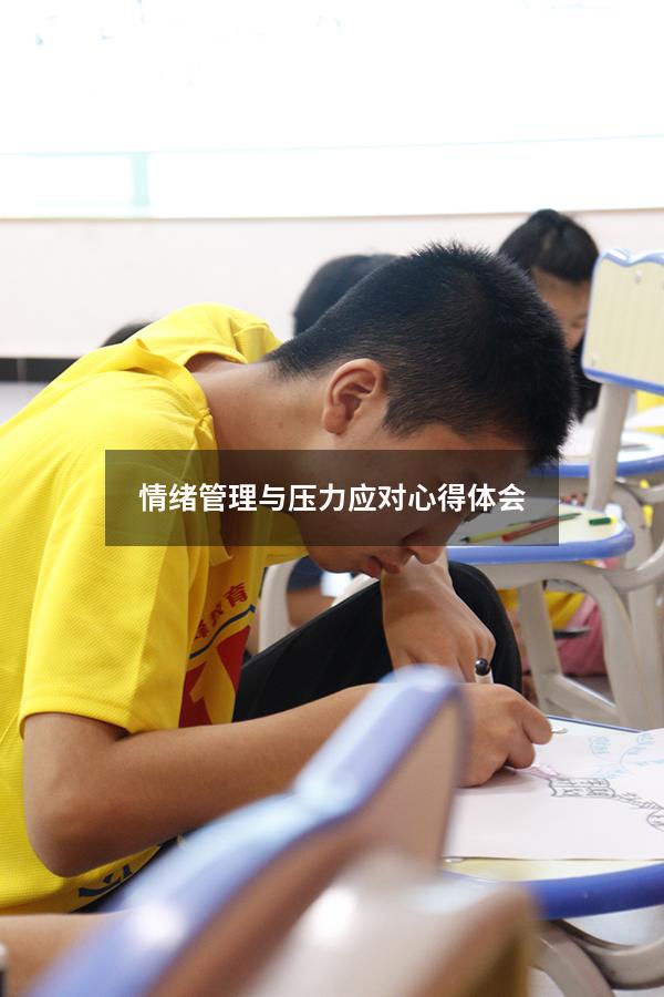 情绪管理与压力应对心得体会
